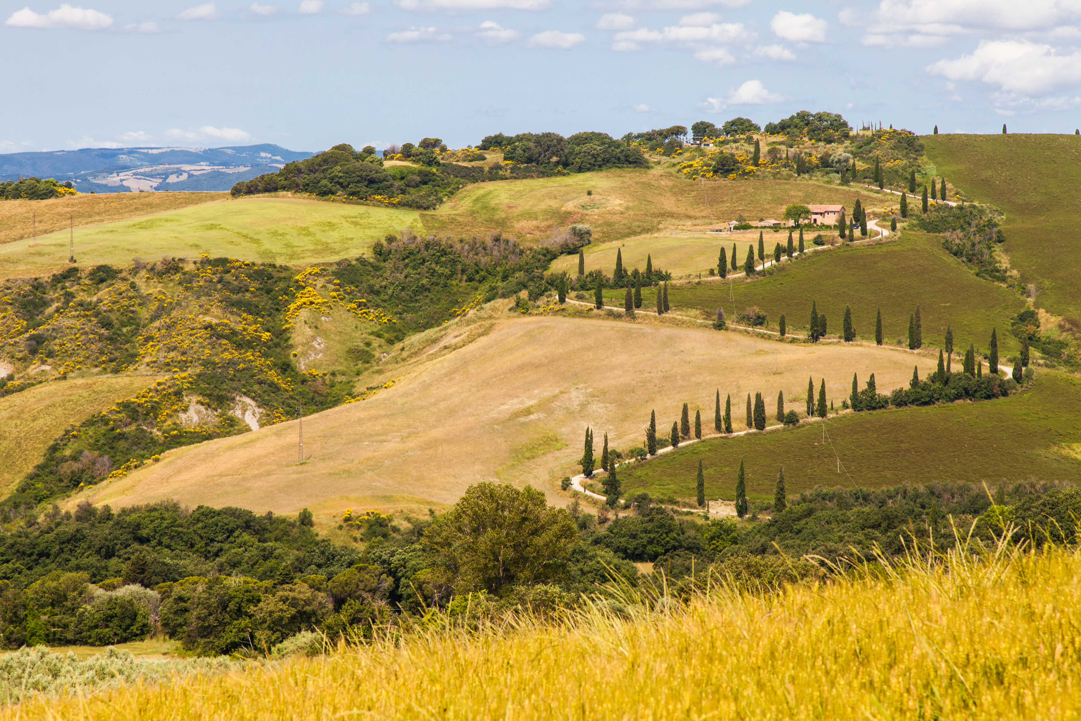 托斯卡纳 tuscany(文艺青年最爱的田园风光)